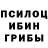 Псилоцибиновые грибы GOLDEN TEACHER Dariya Semenova