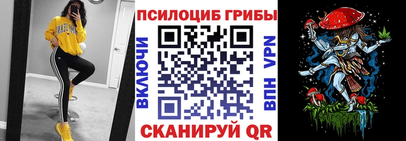 сколько стоит  Ульяновск  Псилоцибиновые грибы MAGIC MUSHROOMS 